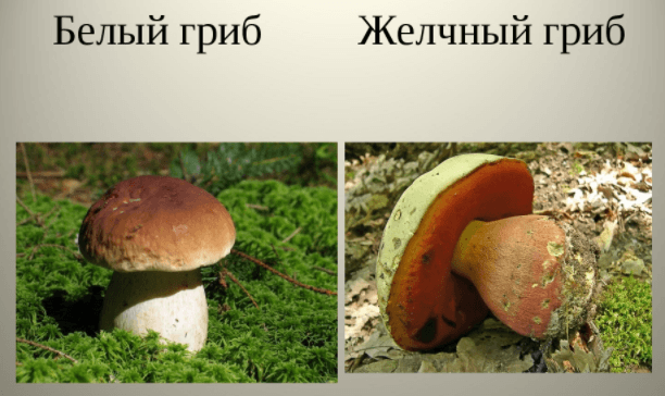 Решение рисунок 2