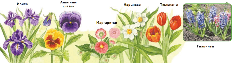 Решение рисунок 1