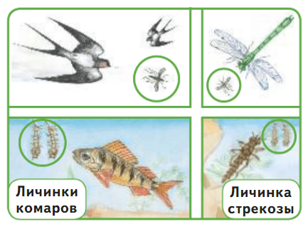 Задание рисунок 1
