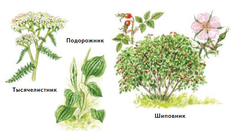 Задание рисунок 2
