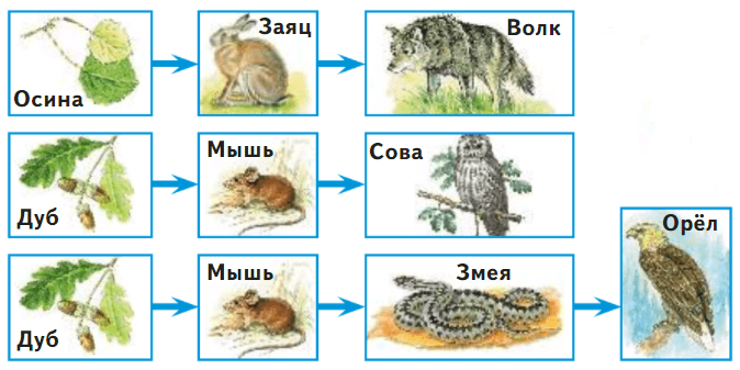 Задание рисунок 2