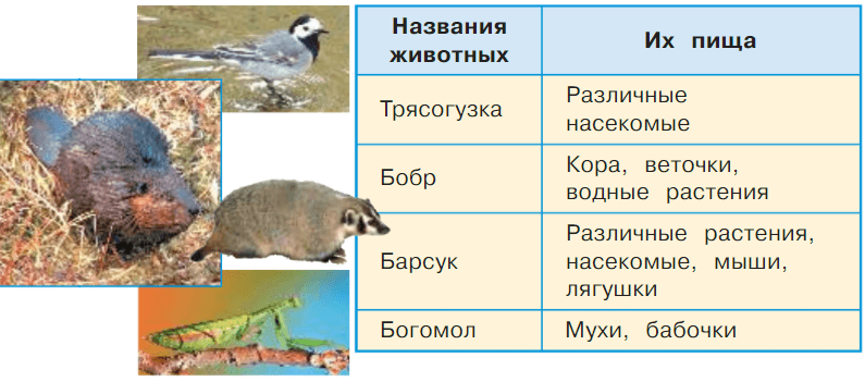 Задание рисунок 1