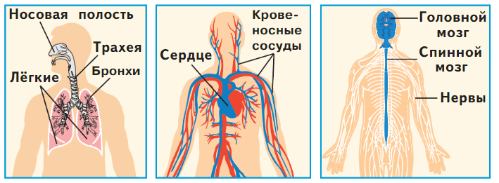 Задание рисунок 1