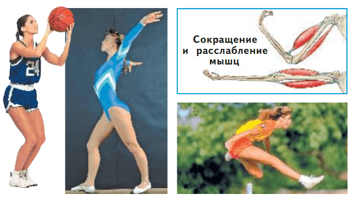 Задание рисунок 1