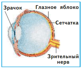 Решение рисунок 1