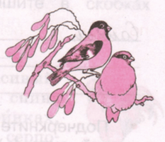 Задание рисунок 1