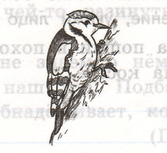 Задание рисунок 1