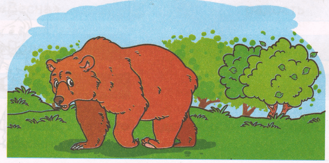 Урок чтения 1 класс сапгир про медведя