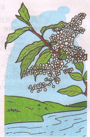 Задание рисунок 1