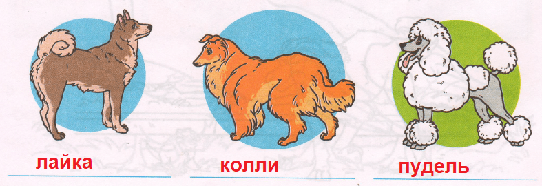 Решение рисунок 1
