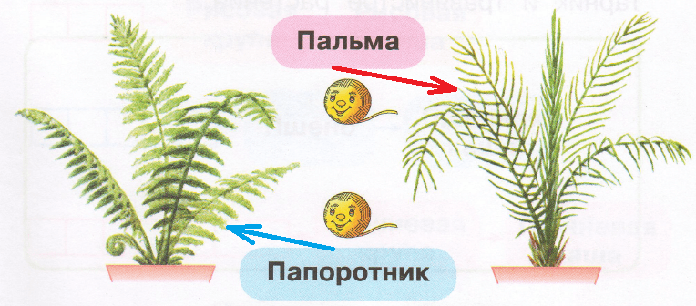 Решение рисунок 1