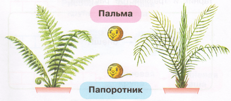 Задание рисунок 1