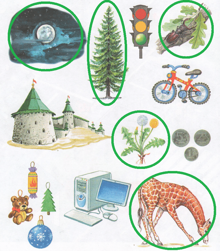 Решение рисунок 1