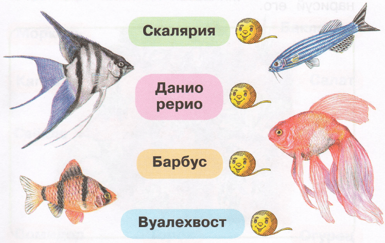Задание рисунок 1