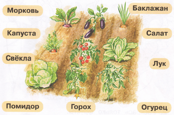Задание рисунок 1