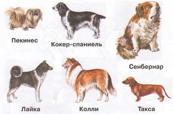 Решение рисунок 1