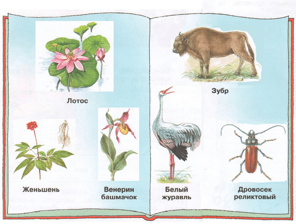 Решение рисунок 1