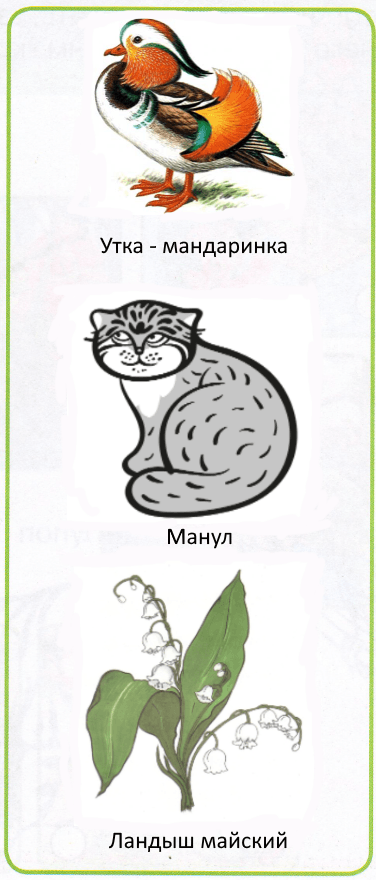 Решение рисунок 1
