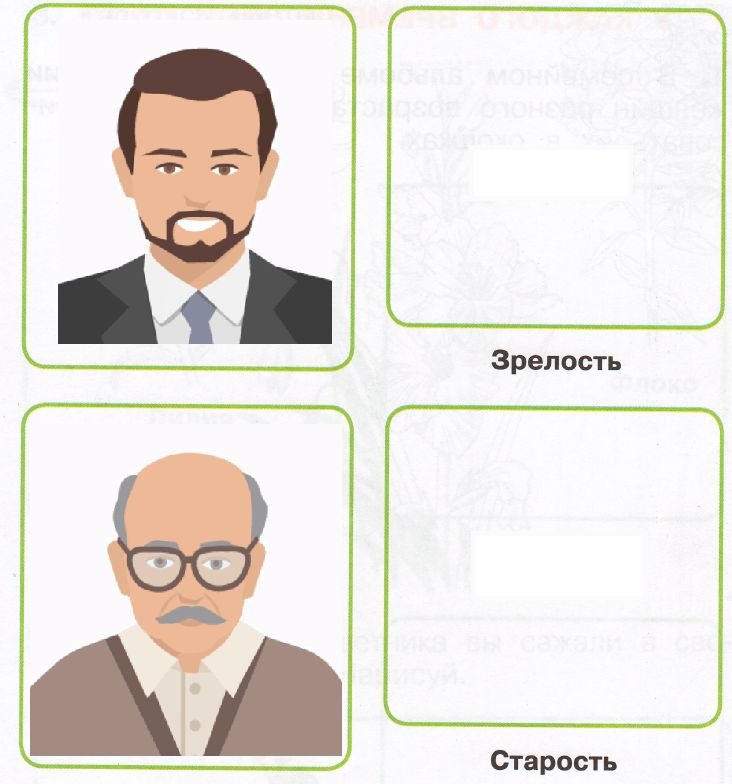 Решение рисунок 2