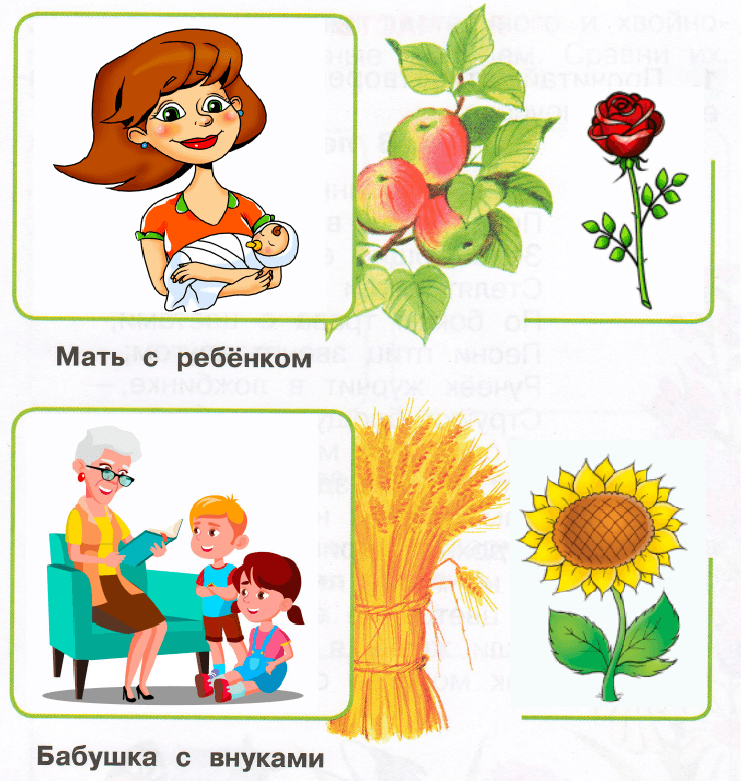 Решение рисунок 2