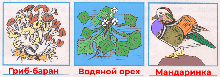 Решение рисунок 1