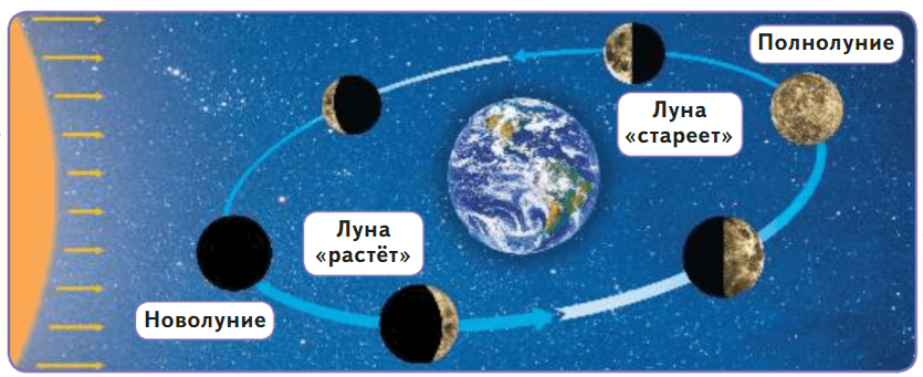 Решение рисунок 1