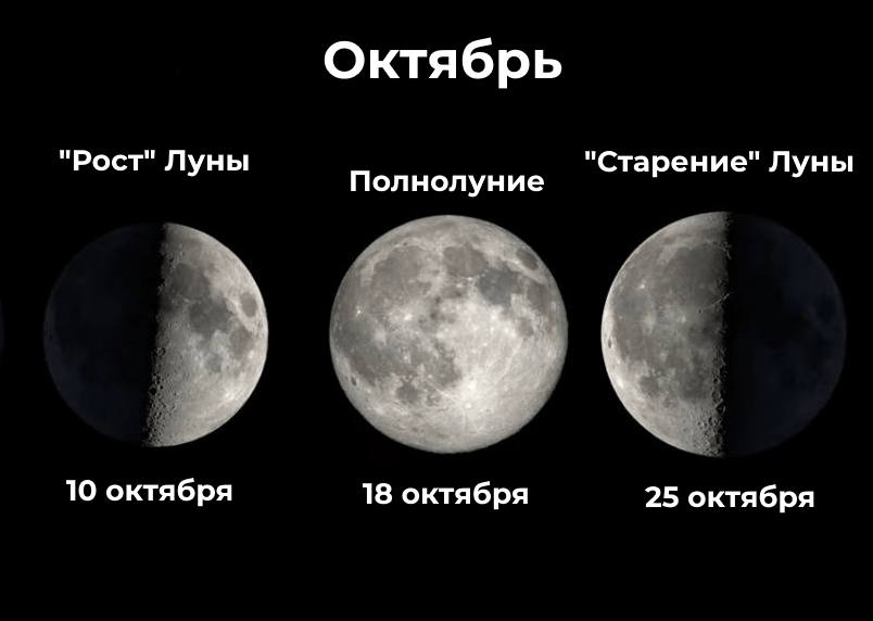 Как выглядит луна в 1 неделю