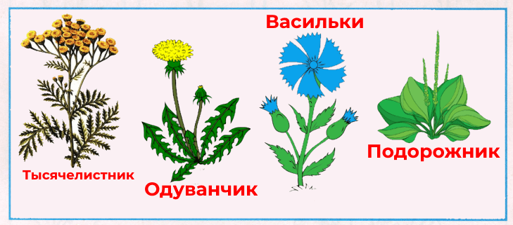 Решение рисунок 1