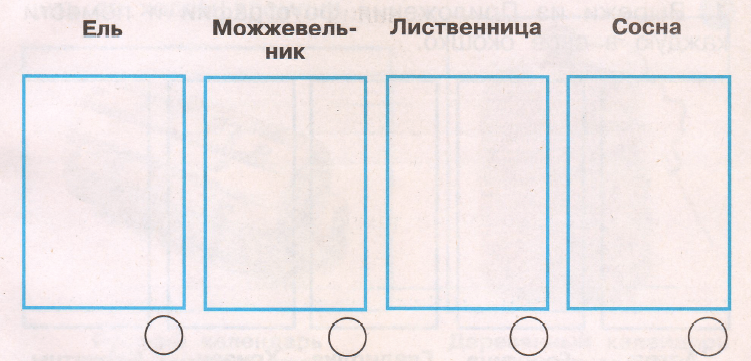 Задание рисунок 1