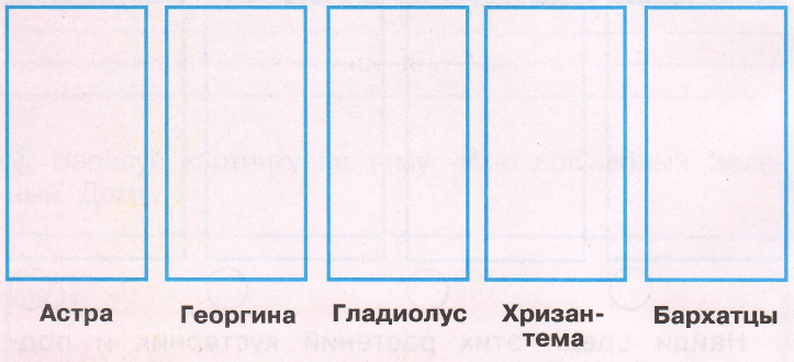 Задание рисунок 1
