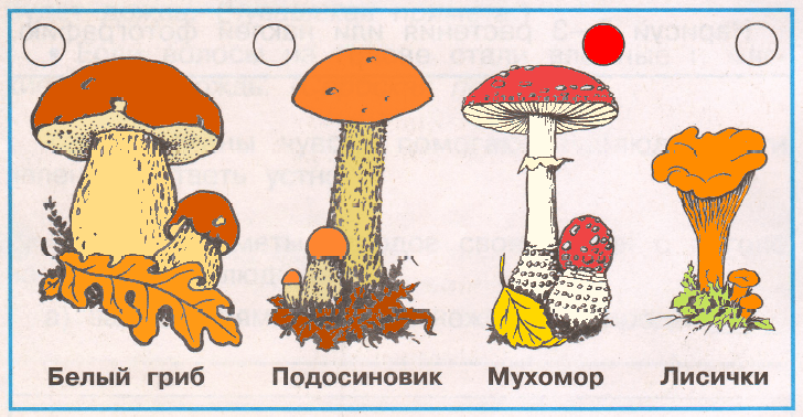 Решение рисунок 1