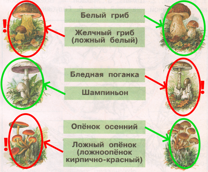 Решение рисунок 1