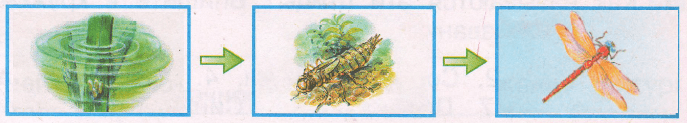 Решение рисунок 1