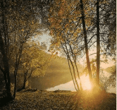 Решение рисунок 11