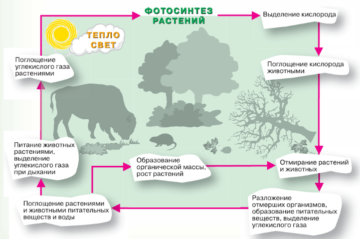 Задание рисунок 1