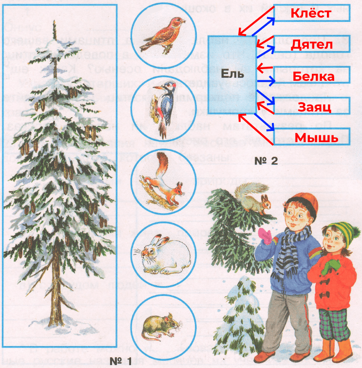Решение рисунок 1