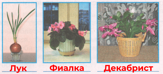 Решение рисунок 1