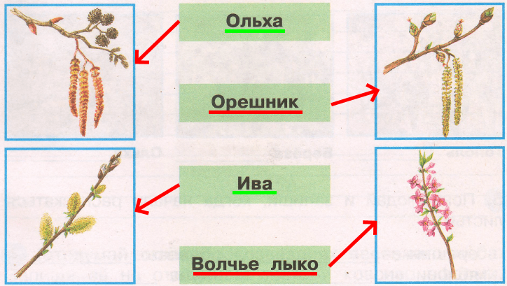 Решение рисунок 1