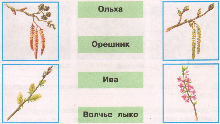 Задание рисунок 1