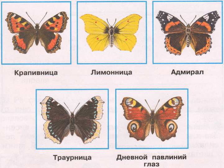 Решение рисунок 1