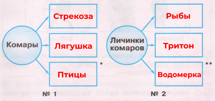 Решение рисунок 1