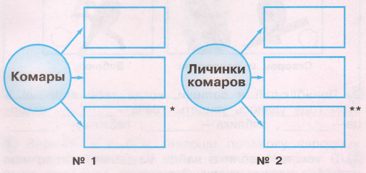 Задание рисунок 1
