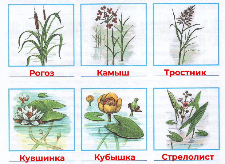 Решение рисунок 1