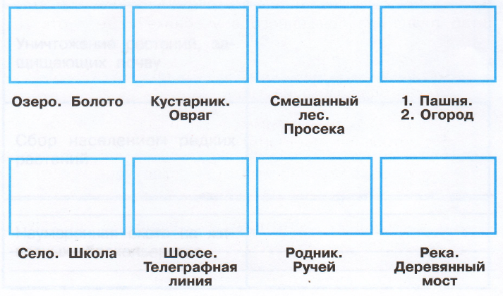 С кем дружит ива вырежи из приложения рисунки и наклей их в схему номер 1