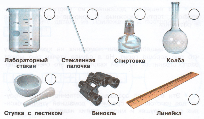 Рассмотрите рисунок и продолжите инструкцию о том как сделать птичью столовую