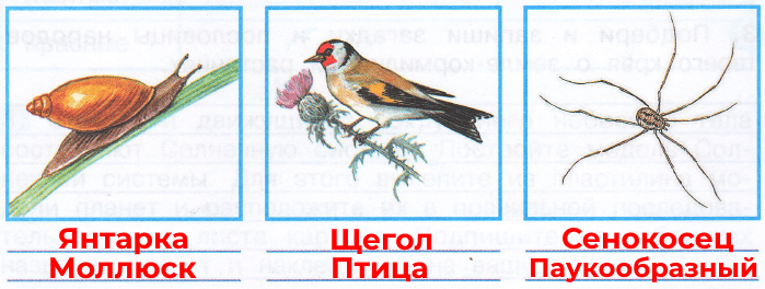Решение рисунок 1