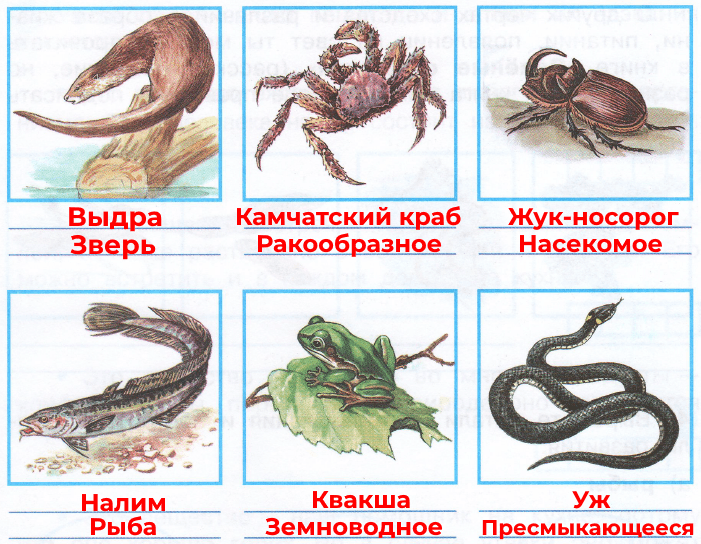 Решение рисунок 2