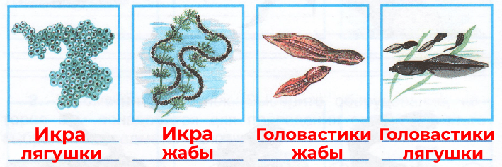 Решение рисунок 1