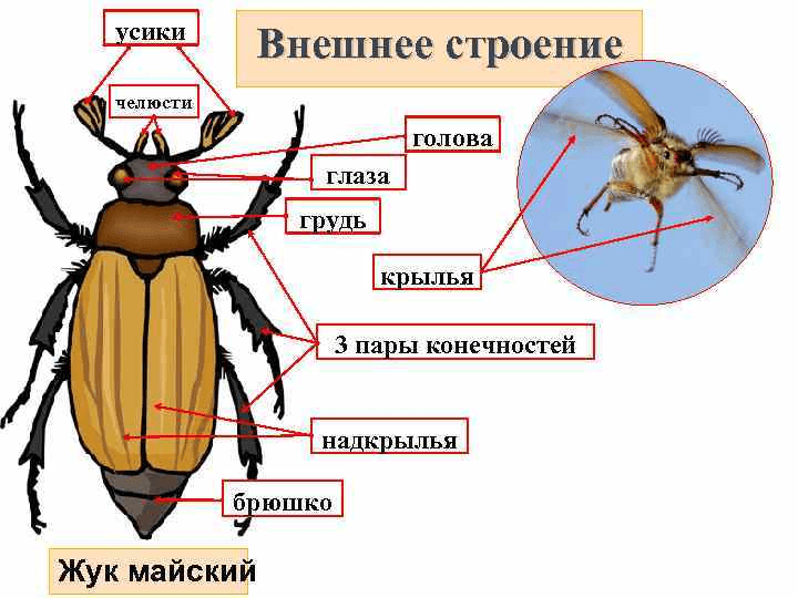 Решение рисунок 1