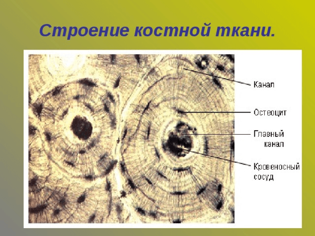Решение рисунок 1